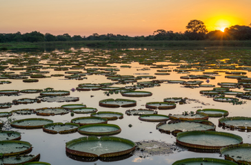 brasilien - pantanal_vaadland_solnedgang_01