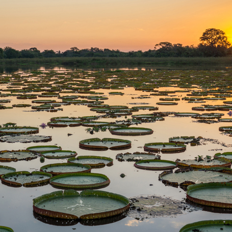 brasilien - pantanal_vaadland_solnedgang_01