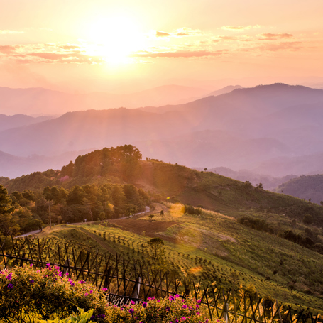 Thaton Doi Tung Solnedgang 568848958