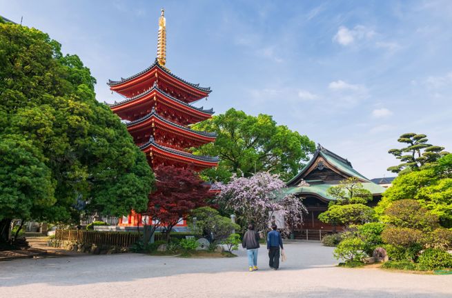 Japan Fukuoka Tochoji Temple Sakura Cherry Blossom Hakata Town