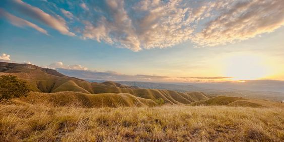 Sumba Bakker Og Savanne 2491172921