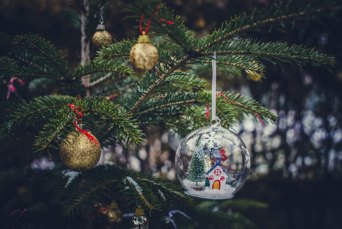 Jul Adobestock 295635185