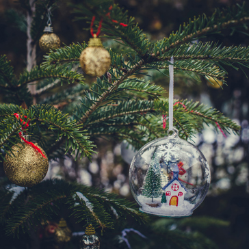 Jul Adobestock 295635185