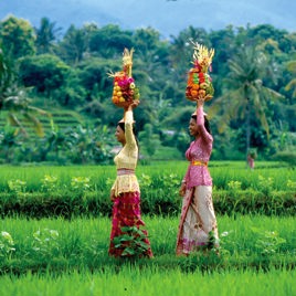 bali - bali_rismark_kvinde_04