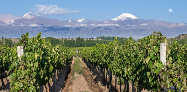 I krydser grænsen til Argentina og oplever et landskab med både bjerge og vinmarker.