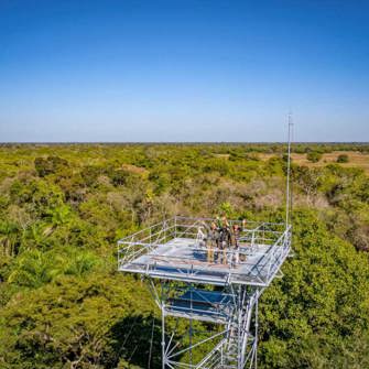 Canopy Tower