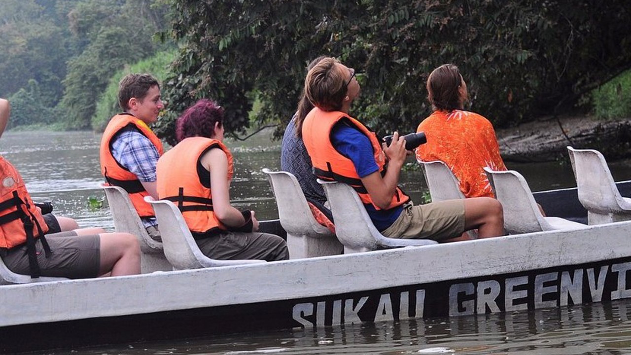 Sukau Greenview Lodge Flodtur