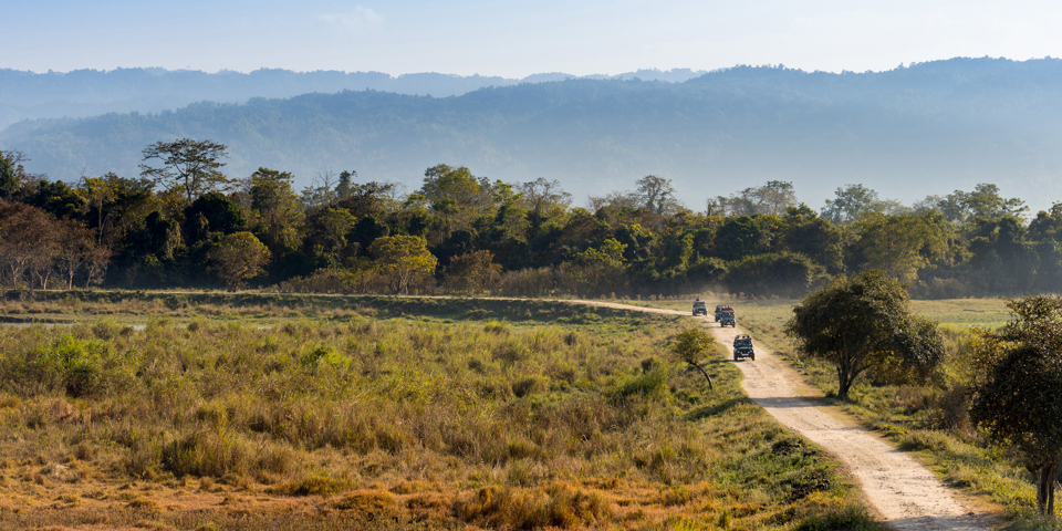 India Kaziranga National Park Jeep Safari Shutterstock 1733376722