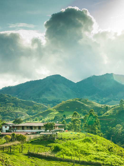 colombia - jerico_kaffe_plantage_02