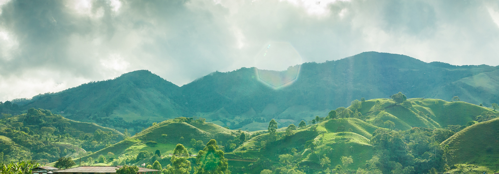 colombia - jerico_kaffe_plantage_02