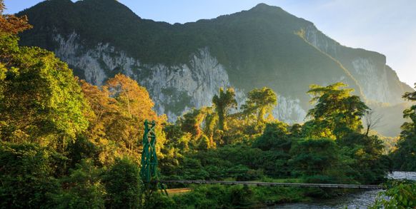 Mulu National Park Regnskov Morgen 1441120748