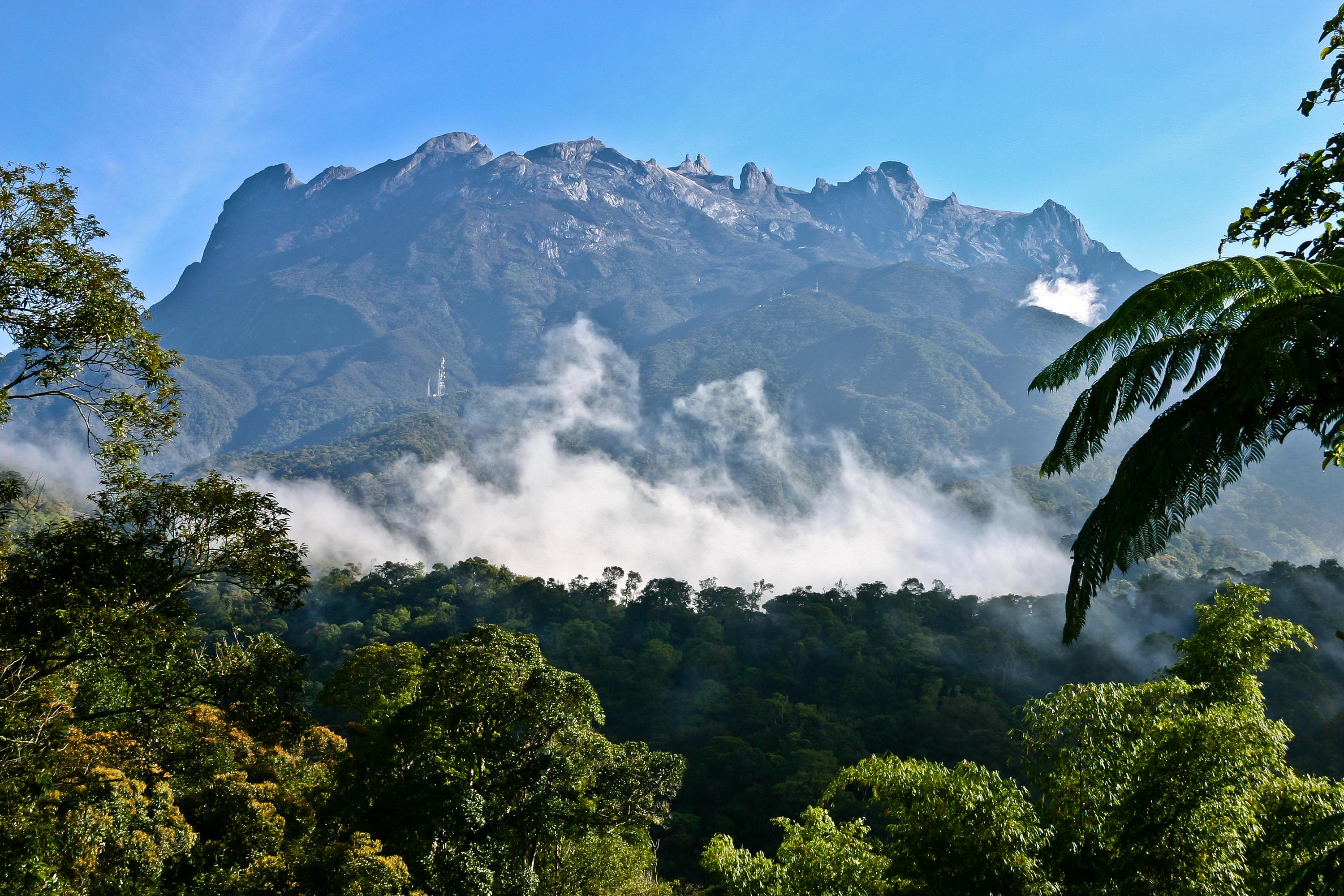malaysia/borneo - borneo_mount kinabalu_05