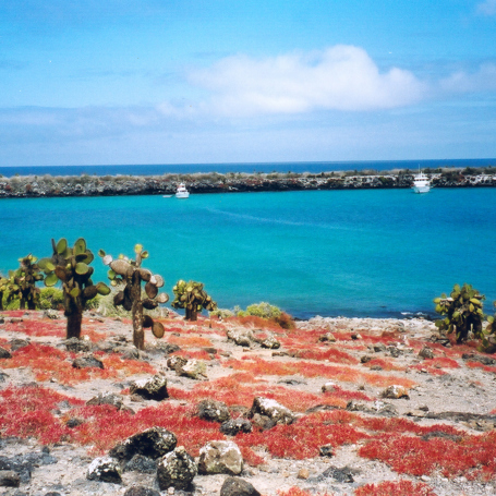 galapagos_landskab_01