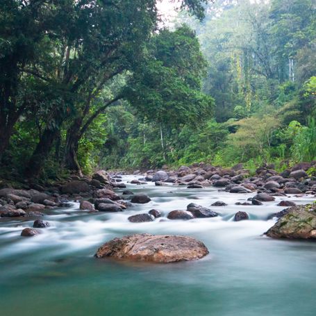 Yorkin River Costa Rica 779538172