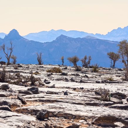 Udsigt over Jebel Shams fantastiske landskab