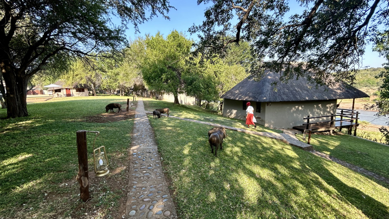 Nyati Safari Lodge River Bungalows 02