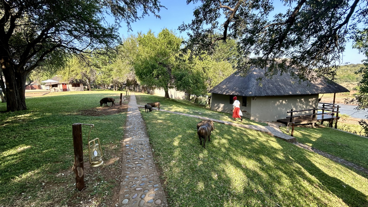 Nyati Safari Lodge River Bungalows 02