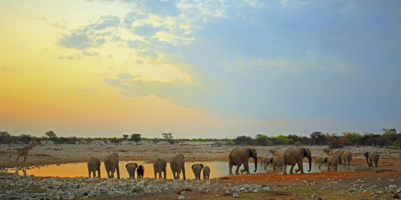 etosha_nationalpark_01
