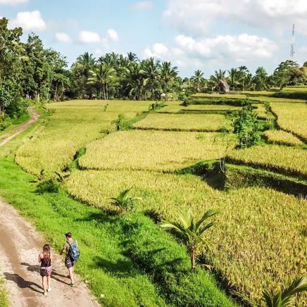 Vandring i højlandet ved Tetebatu, Lombok
