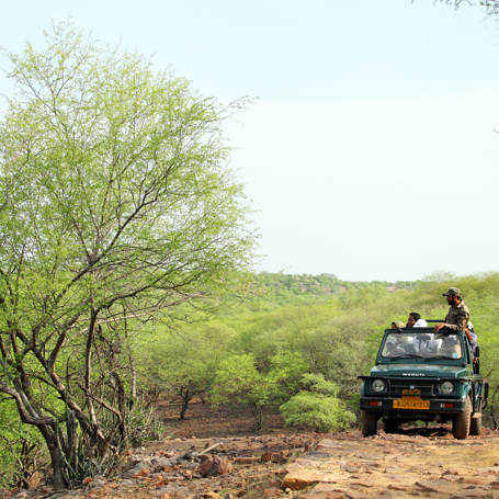 indien - ranthambore_safari_jeep_01