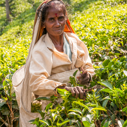 indien - alleppey_befolkning_te_09