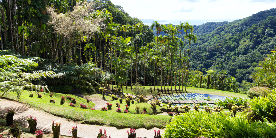 Martinique_jardin de balata_01