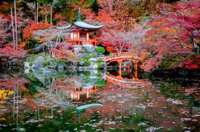 japan - kyoto_tempel_ahorntrae_01