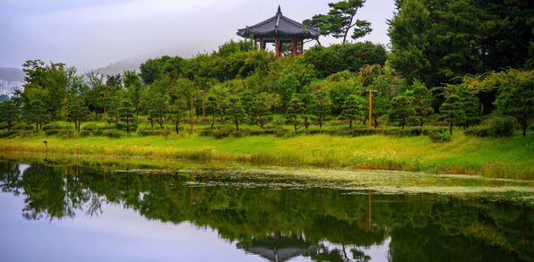 Sydkorea Sejong By National Sejong Arboretum Geumgang Bridge Efterår