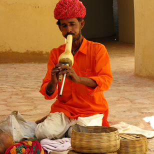 Indien - jaipur_slangetaemmer_02_hf