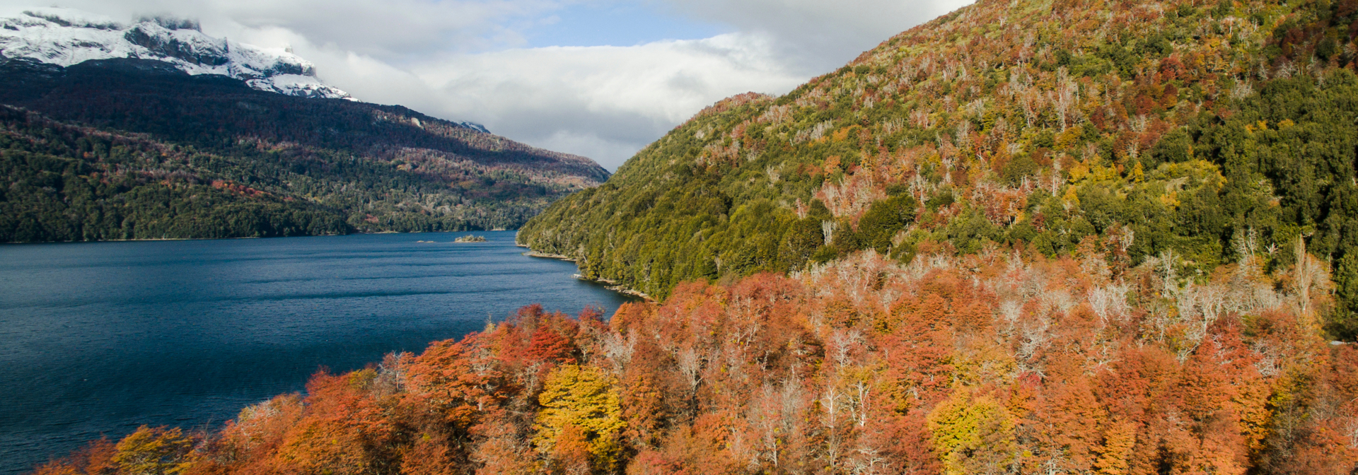 Falkner Lake San Martin De Los Andres