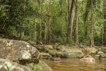 Kuching Santubong Sarawak 518315950