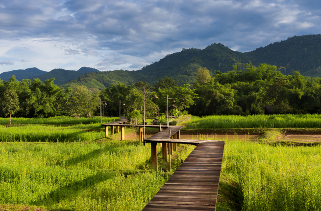 thailand - nordthailand_rismark_01