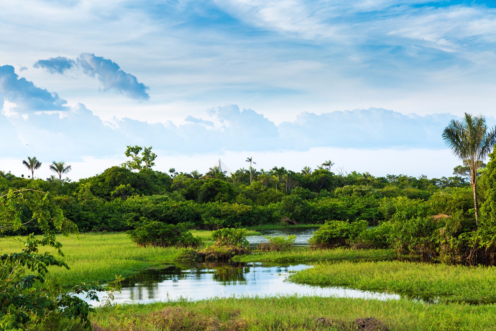 brasilien - amazonas_02