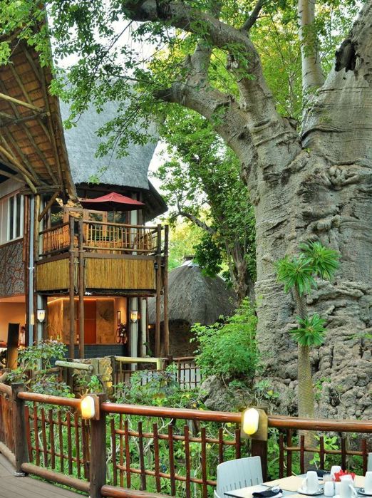 Cresta Mowanar Safari Resort And Spa Fælles Areal