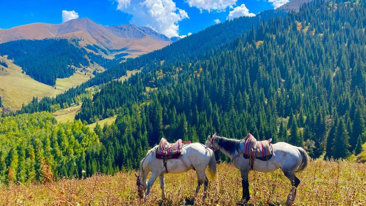 Kemin Guest House 01