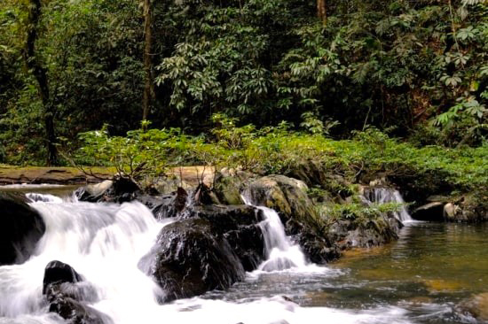 Borneo Park Hq Long Lasat Flod 01