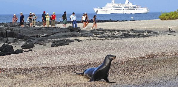 mv galapagos legend_skib_04_lysnet