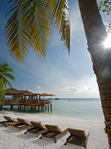 moofushi maldives strand_15