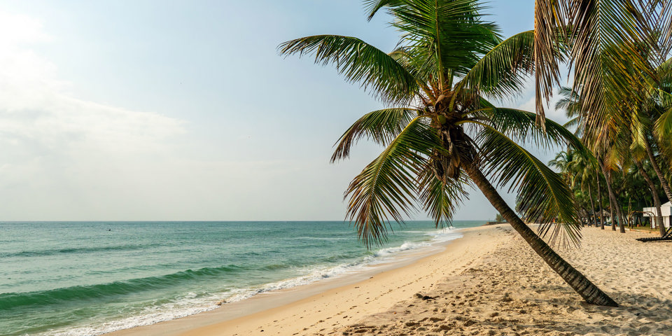 Diani Strand 2448159857