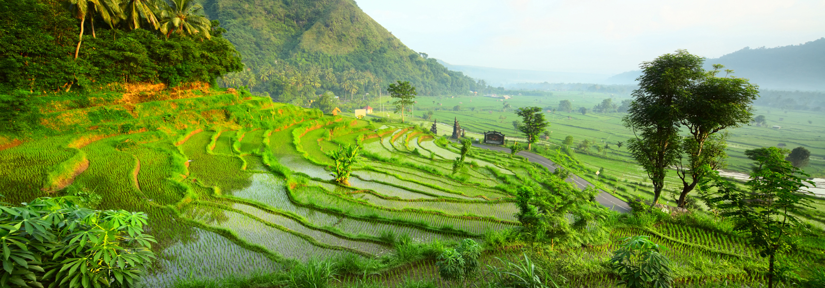 bali - ubud_rismark_35