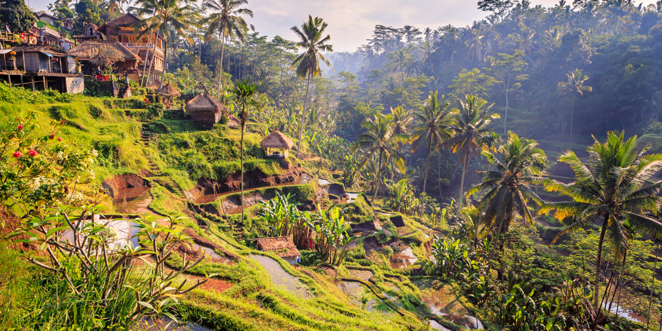 bali - bali_ubud_landsby_01