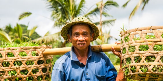 bali - ubud_rismark_farmer_04