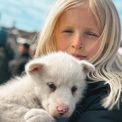Pige med slædehund Ilulissat Grønland