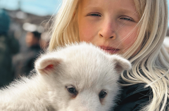 Pige med slædehund Ilulissat Grønland_familien-møller