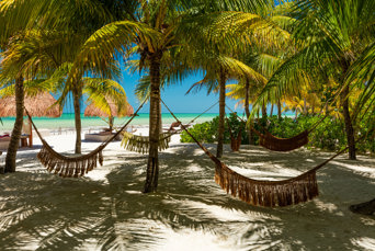 mexico - Mexico_Isla Holbox_beach_06