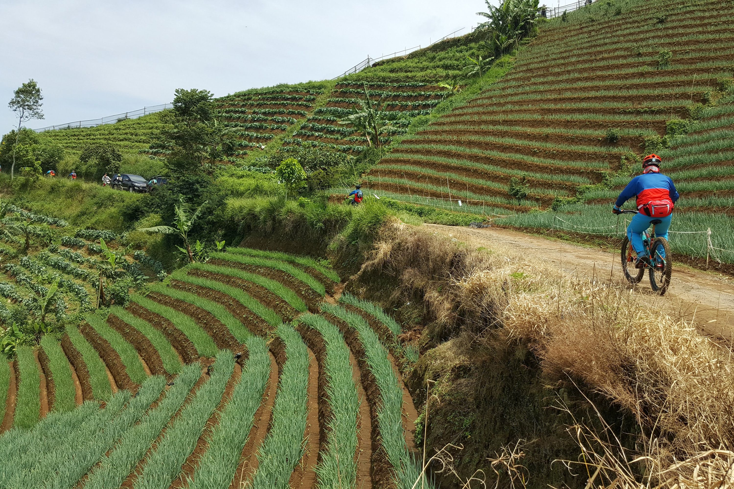 Thaton Fang Dalen Cykling 2466307397