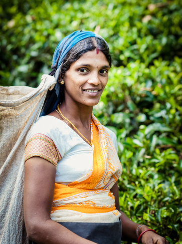 sri lanka - sri lanka_teplantage befolkning_06