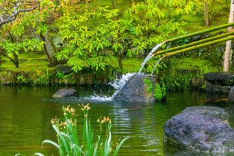 Tokyo Kamakura Middelalderby Vandløb Forår