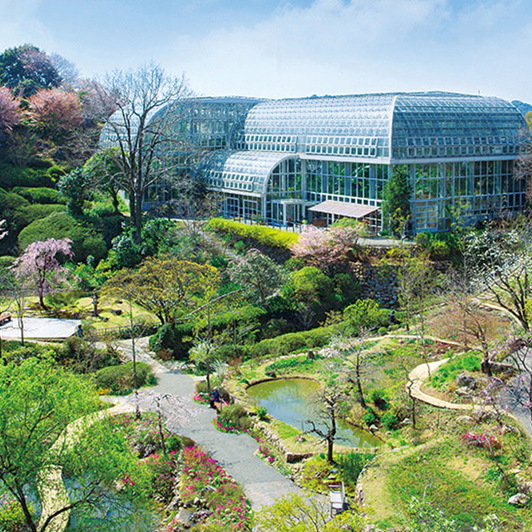 I Kochi besøger vi en verdensberømt botanisk have...