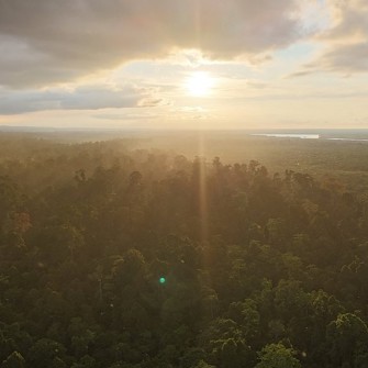 Utan Rainforest Lodge View Af Regnskov
